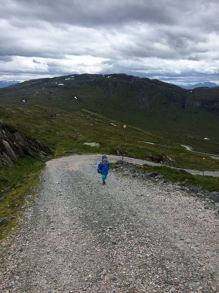 Fint driv oppover. Svartegga bak