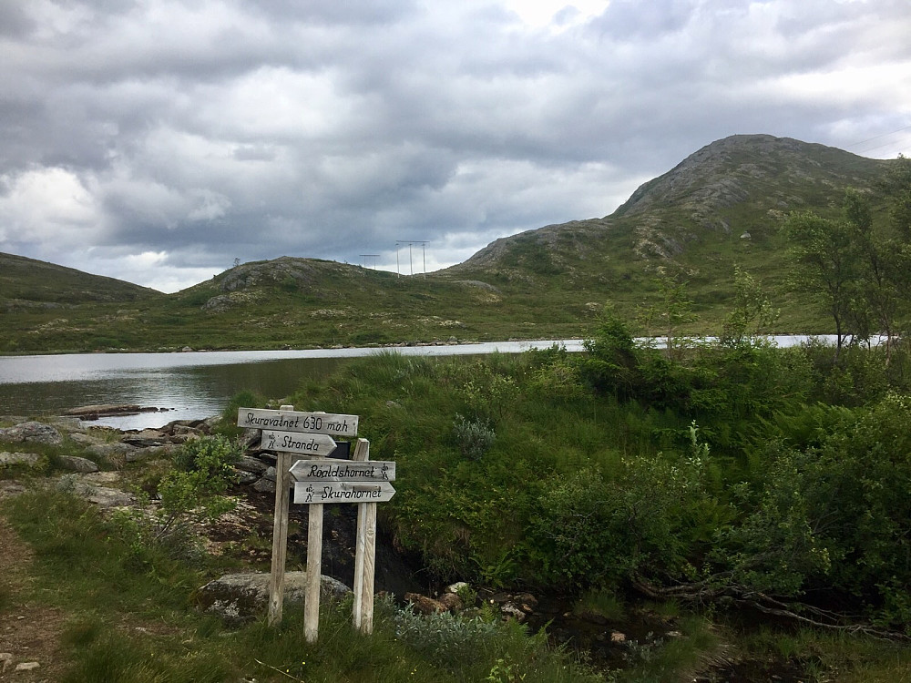Skuravatnet hvor man kan følge sti også mot Roaldshornet. Skurdahornet til hø.