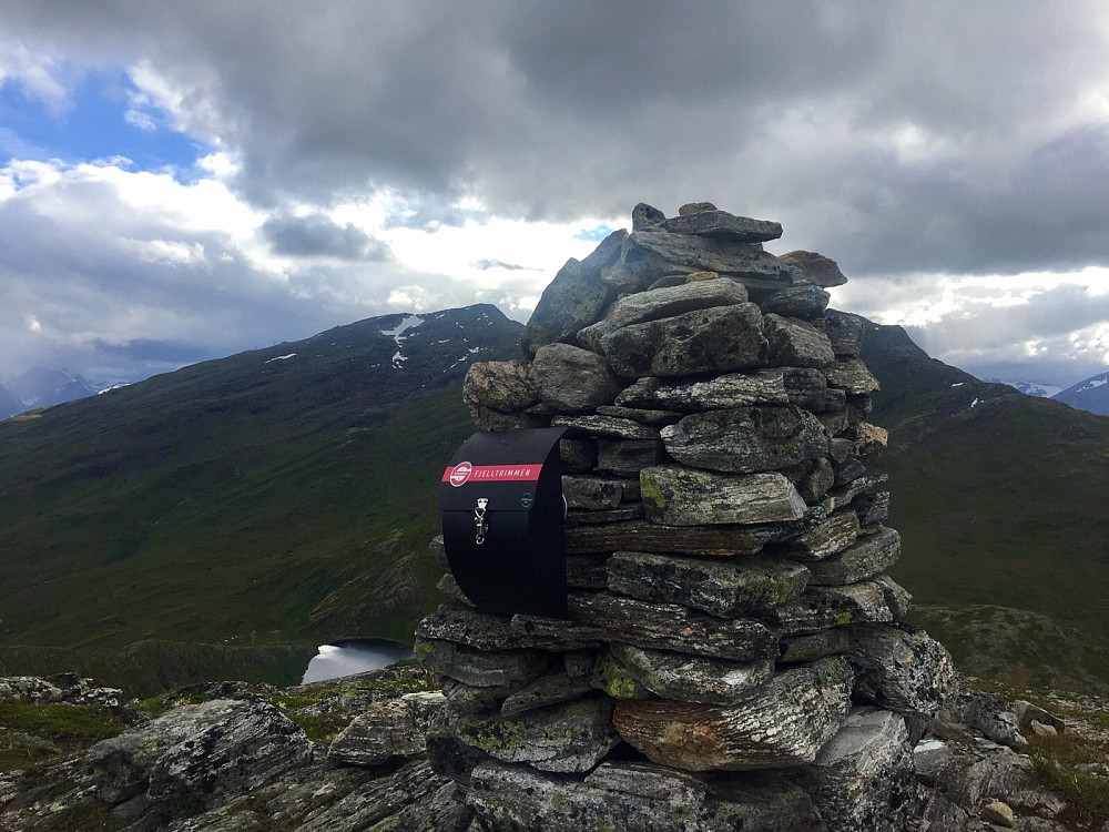Toppen på Skurdahornet 849, Roaldshornet bakom