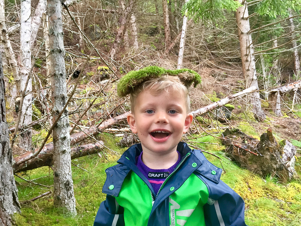 Vi fant trump tupé inni skogen
