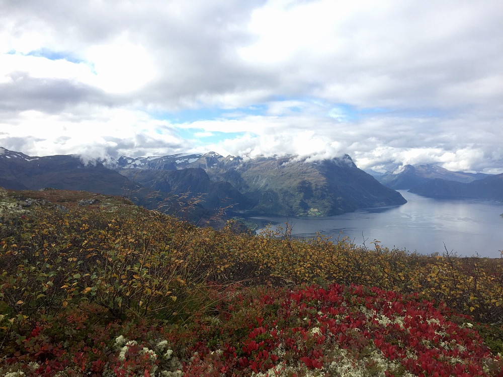 Det blir finere og finere farger i fjellet for hver dag :-) Praktfullt !!! Nydelig formiddagstur før seinvakt