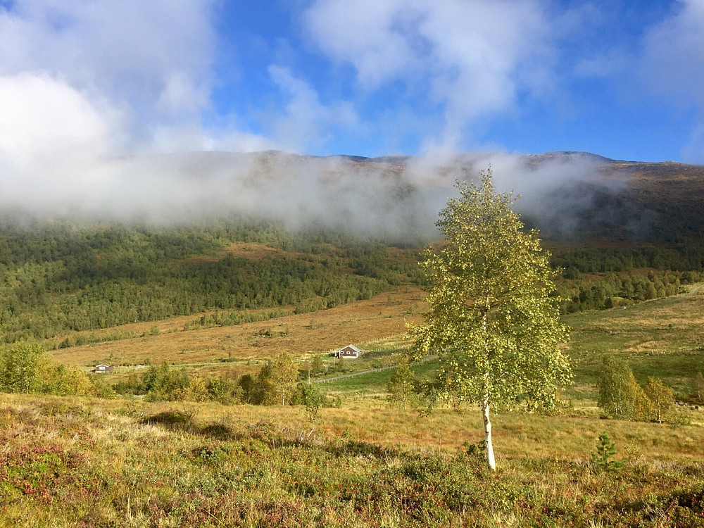 Mot Sagetindane