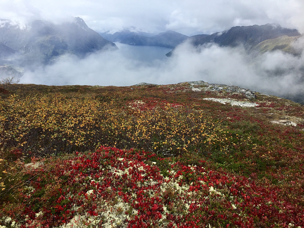 Lotsbergnibba