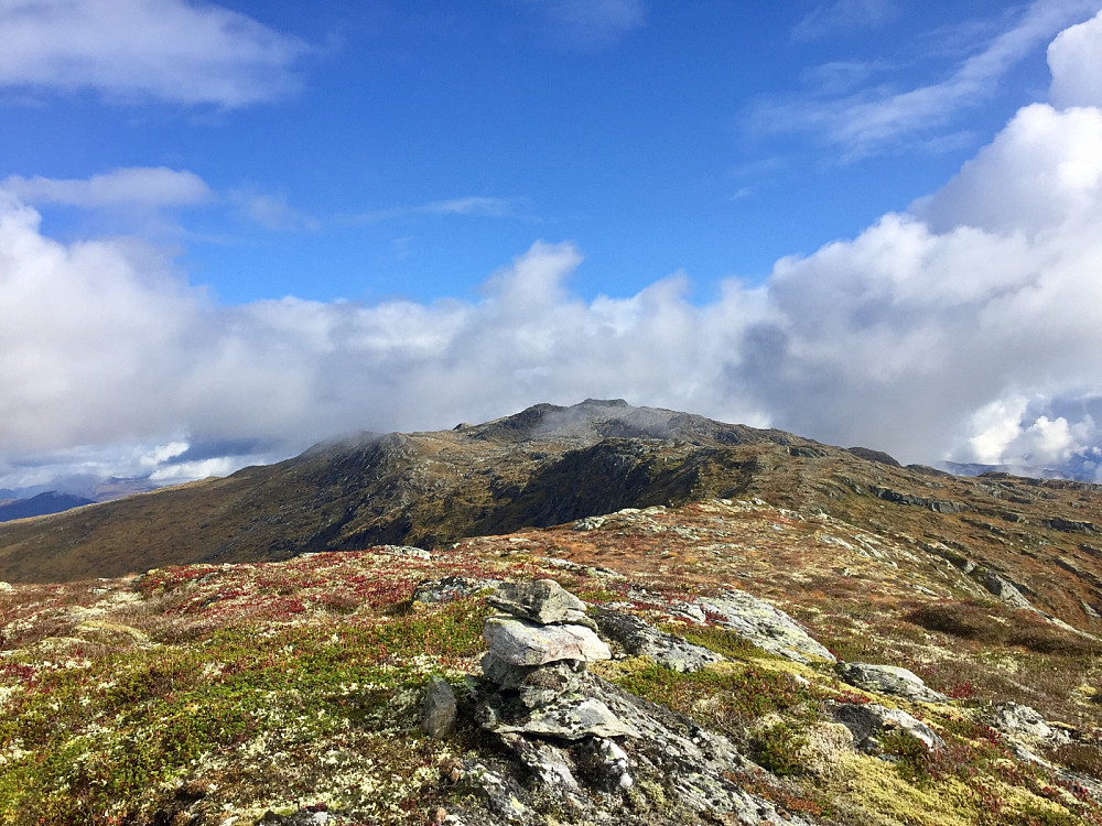 Austlege Lotsbergnibba mot Svartegga