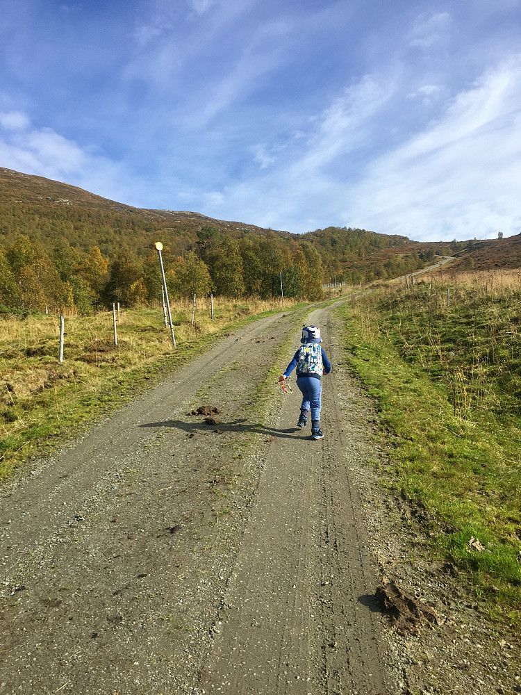 Full fart fra avgang