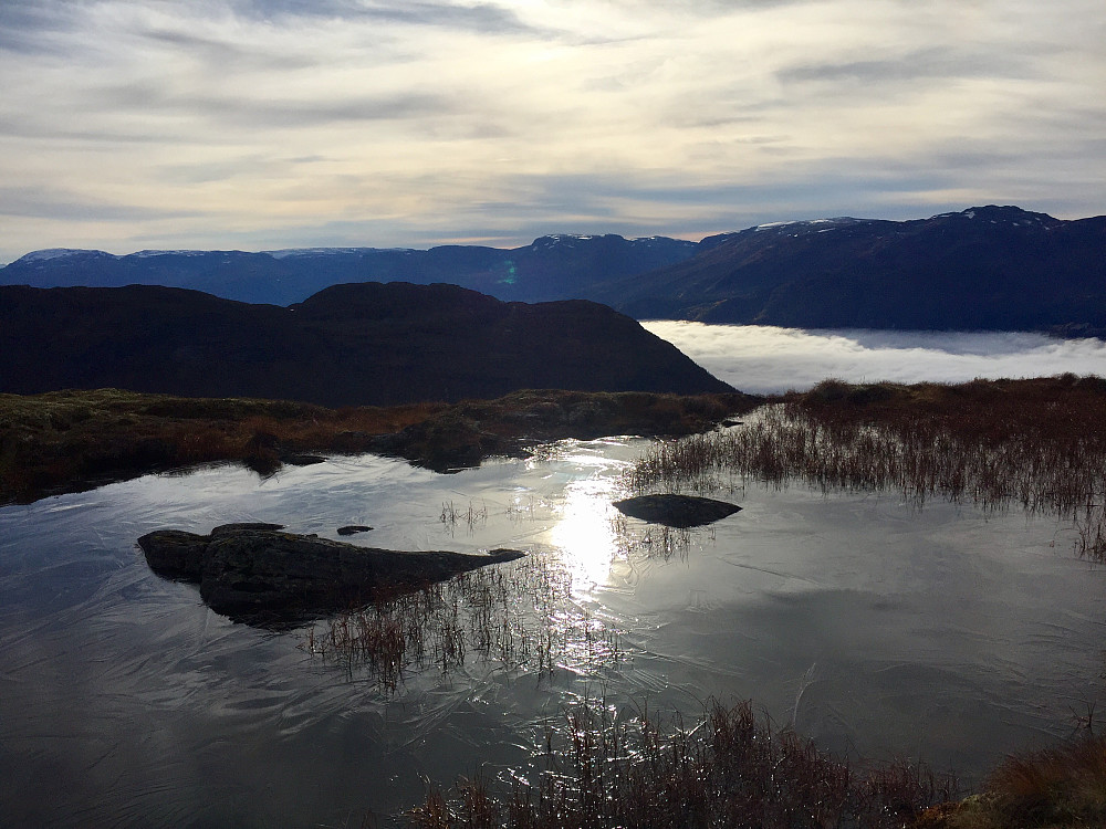 Nattefrost og rim på helt til fjorden i dag tidlig