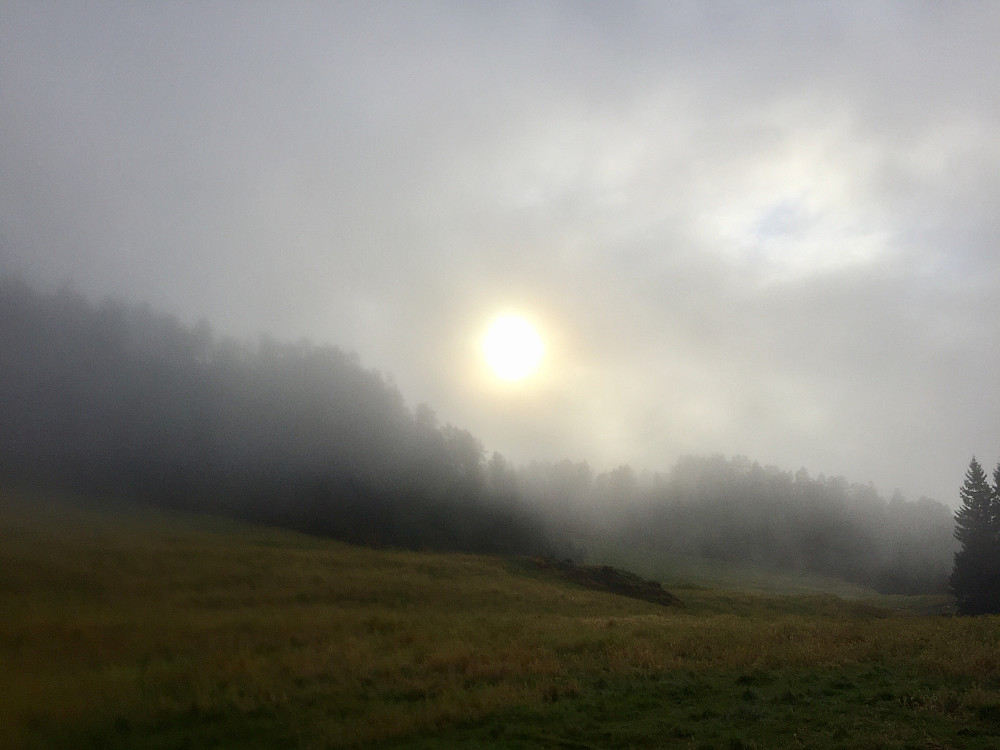 Tidvis gjennombrudd i skodda, her fra Myrane