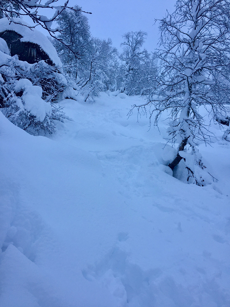 Et av de tyngste partiene. Her var det botnlaus snø selv med truger