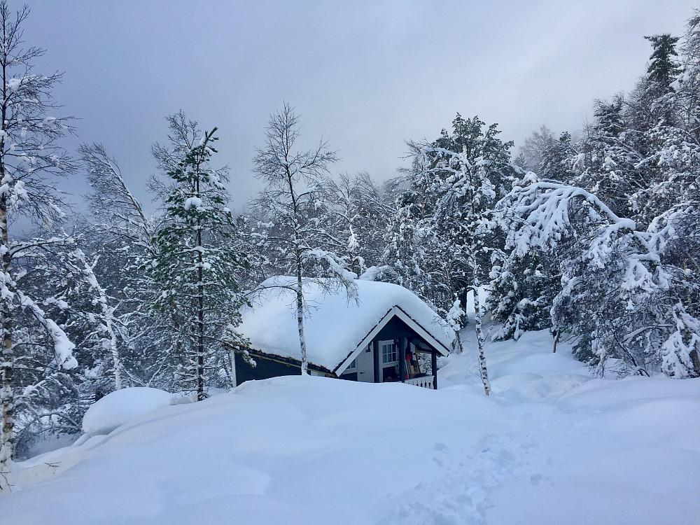 Kommet bra mye snø på støylen også på 390 moh