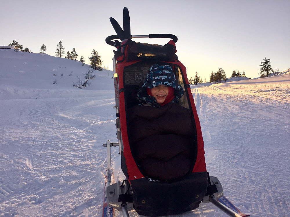 Movatnet