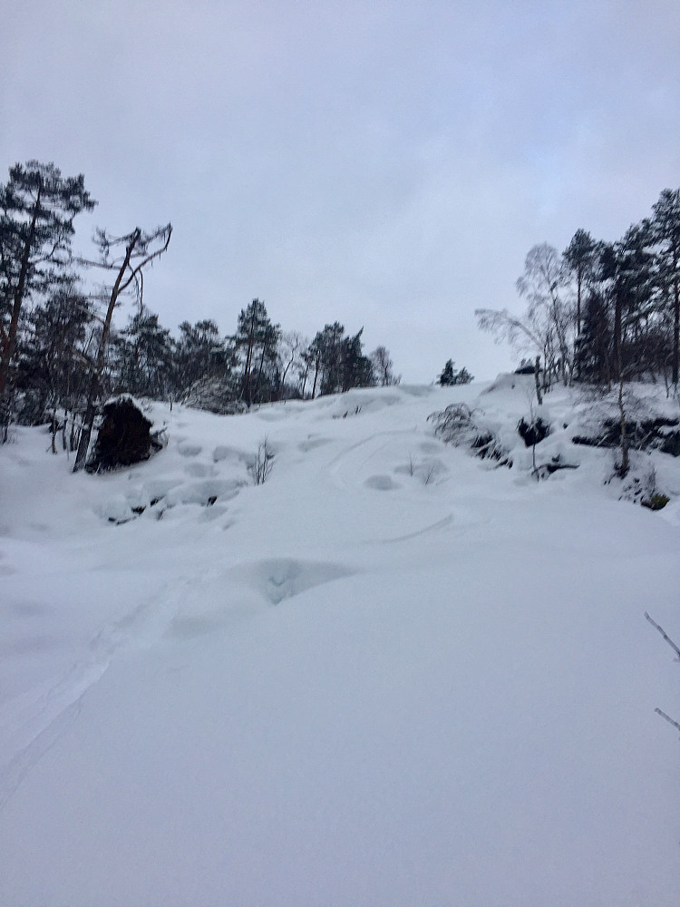 Nydelig i øvre del av rørgata, men ble litt annerledes i nedre del siden naboene har satt opp noen gjerder jeg ikke husket på - og så midt i den flotte låmen for pokker ! Jaja :-)