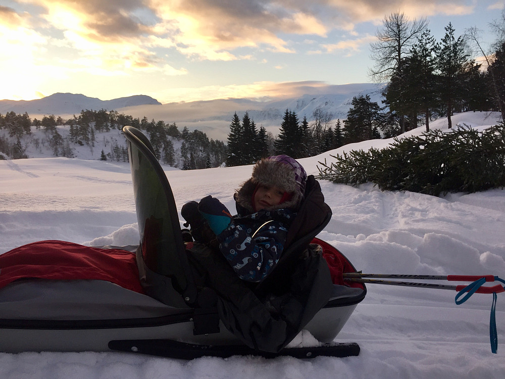Pitstop på Myrane og årets juletrefangst 