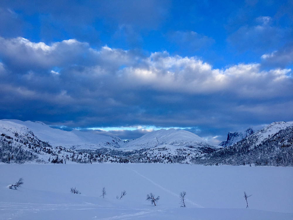 Movatnet
