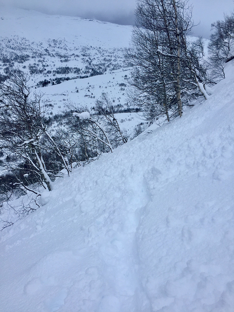 Et parti med snø har glidd over sporene mine..