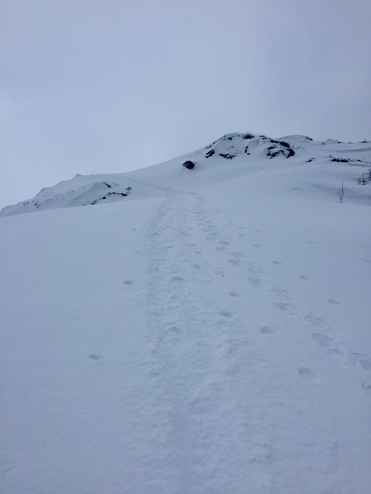 Snøen har fyllt ut terrenget og laget noen lange bratte kneiker , bør trå varsomt på vei ned igjen