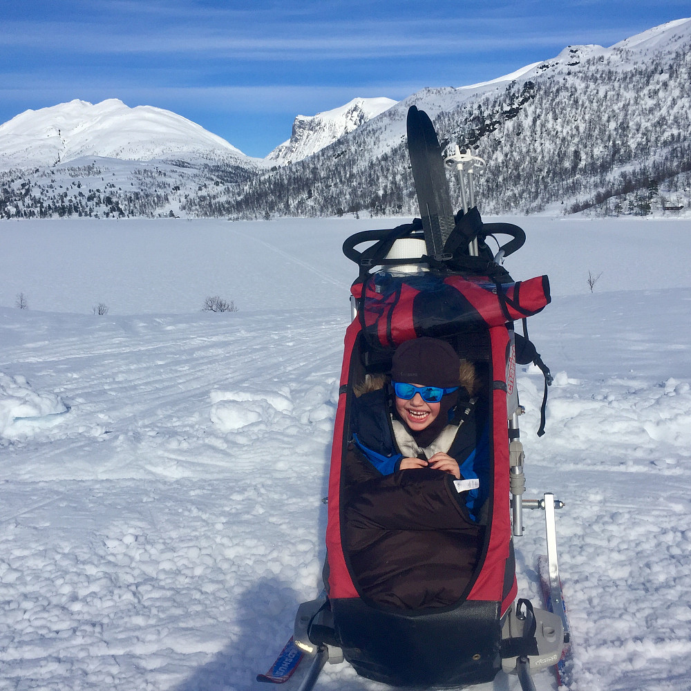 Movatnet