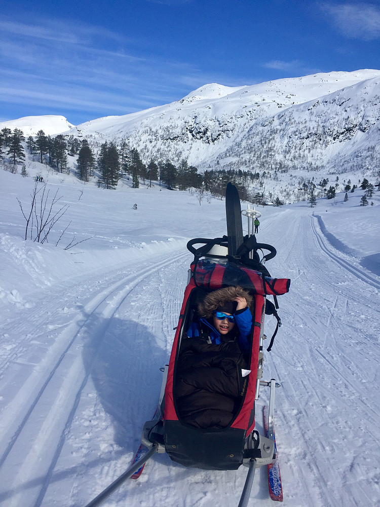 Glad passasjer 