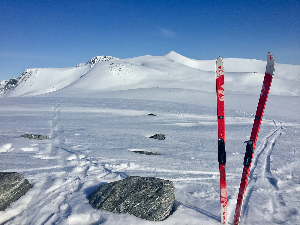 Vikesandfjellet mot Høgenipa og Vardehornet