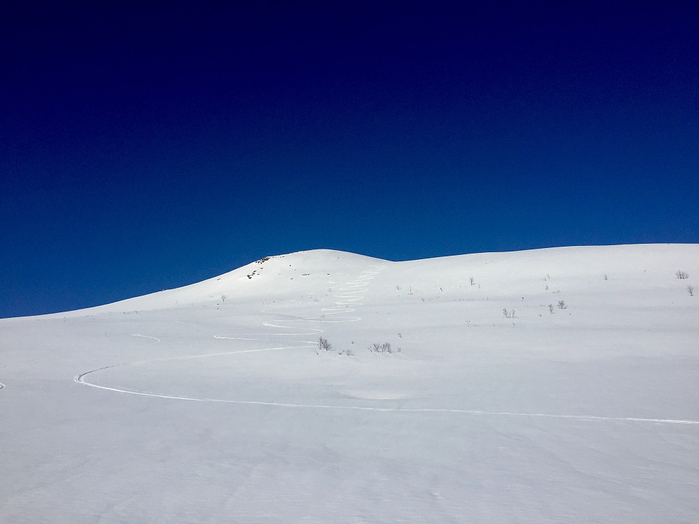 Ikke så aller verst fornøyd etter telemarksvinger med fjellski i tidvis råtten og blaut snø