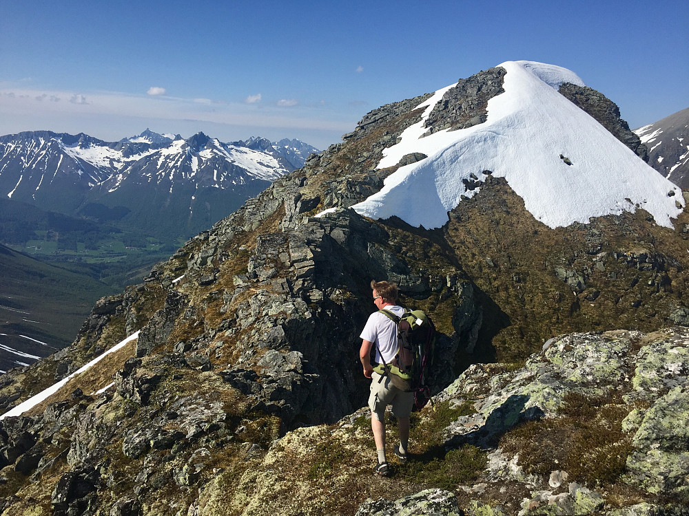 Ryggen videre mot Langhornet