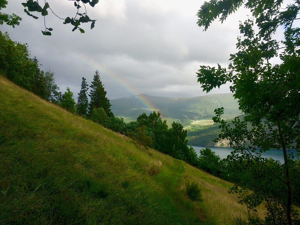 Indre Åsane