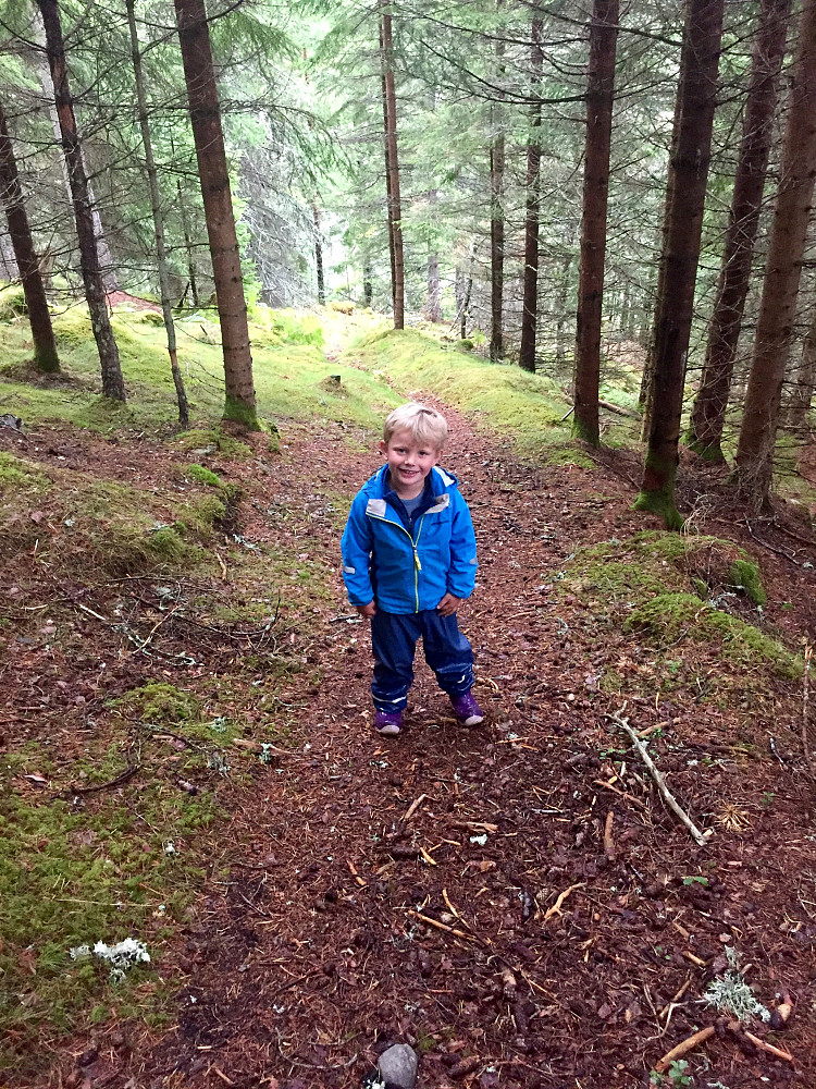Fint i skogen idag
