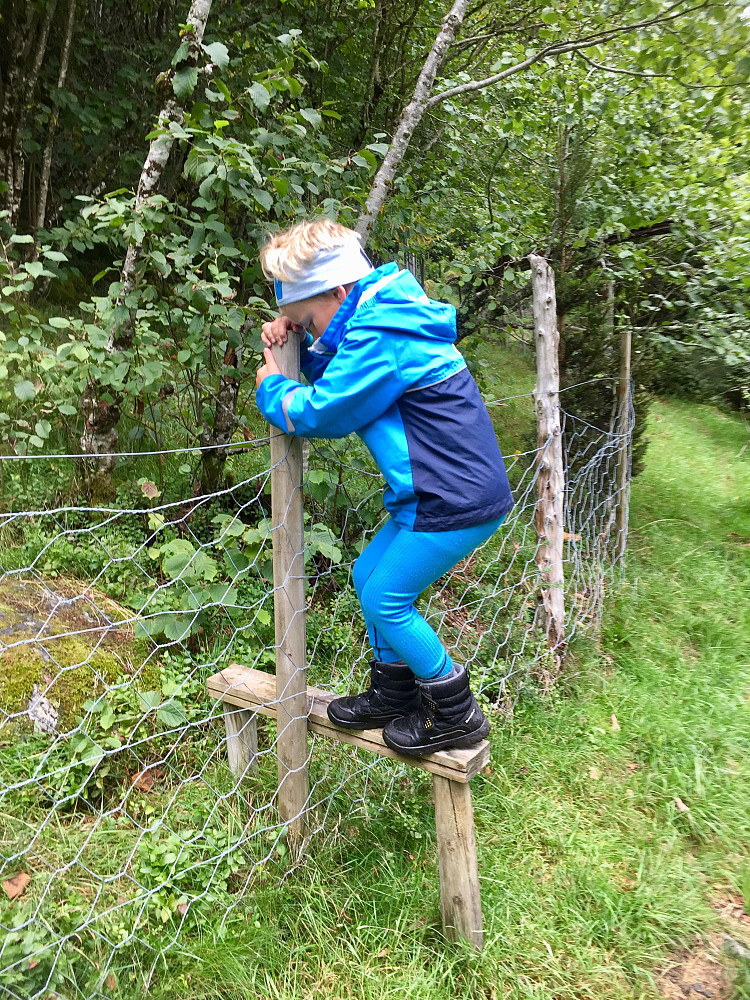 Gardklivet mestrer han fint alene