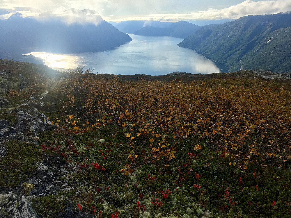 Deilige farger i fjellet som blir flottere og flottere for hver dag