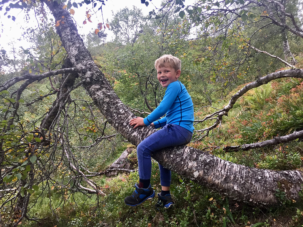 Lek underveis er viktig