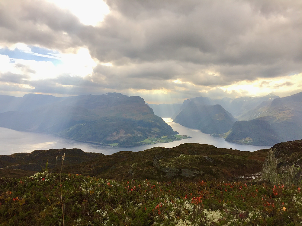 Mot Branden med Hesteneset, Hyefjorden og Skjerdalen
