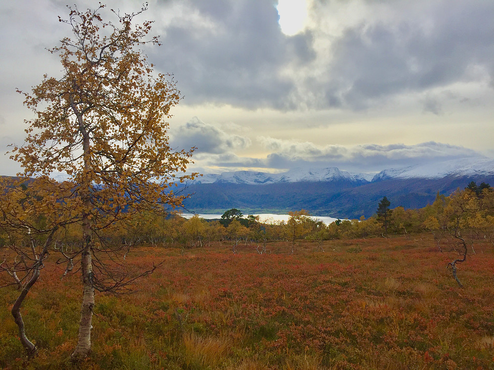 På vei mot Øvre Åsane, kjempeflotte farger i naturen!