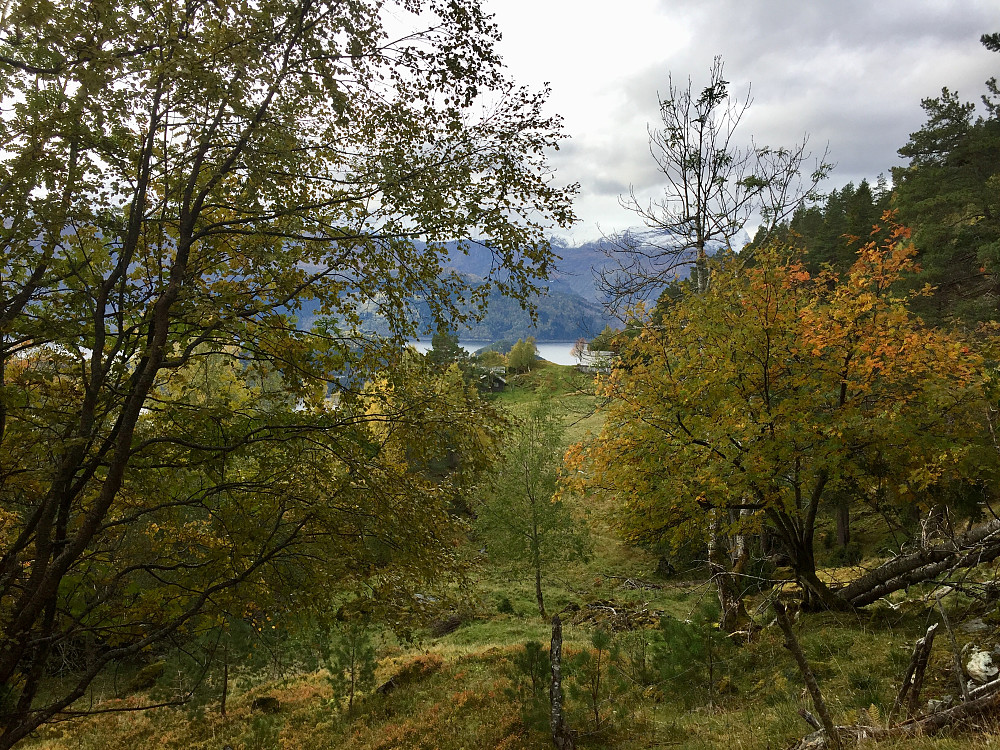 Øvre Åsane, Indre