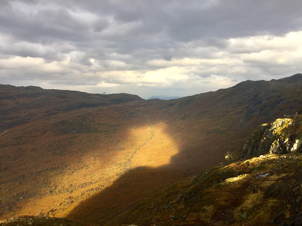 Flotte solgløtt i Lotsbergdalen!