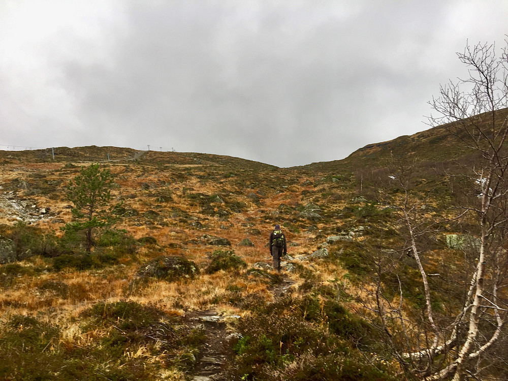På vei oppover mot Kjenndalen