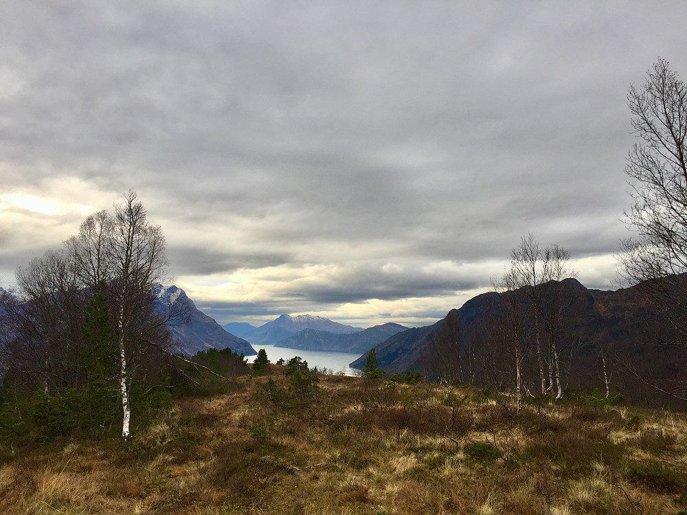 Mistelhaugen