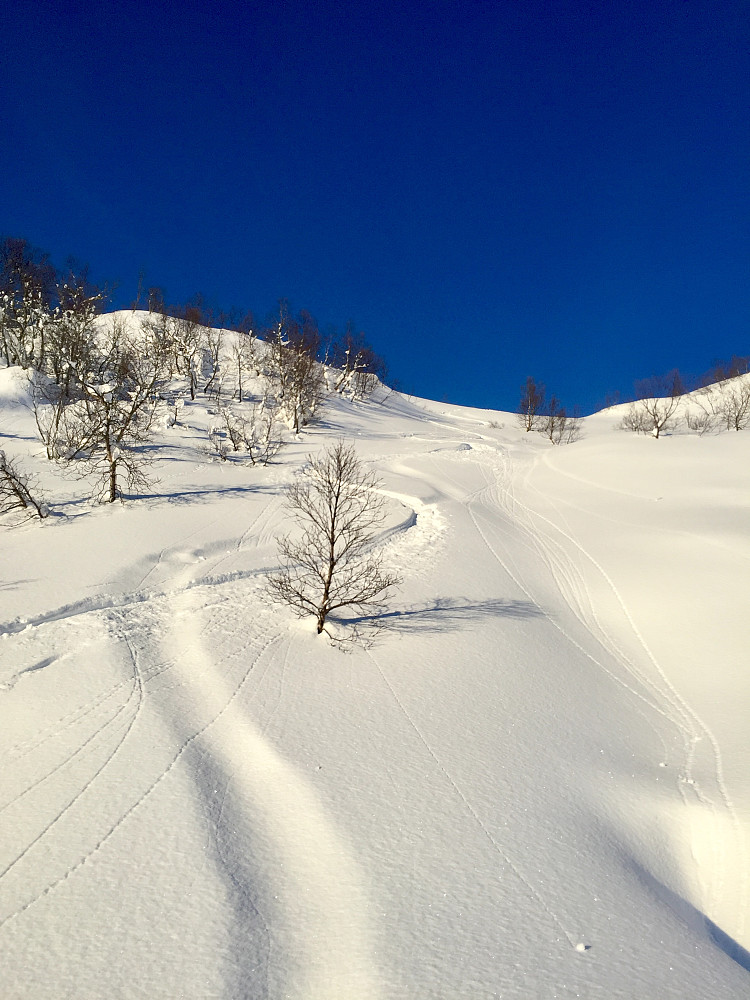 Fantastisk søndag og for en herrrlig snø !!