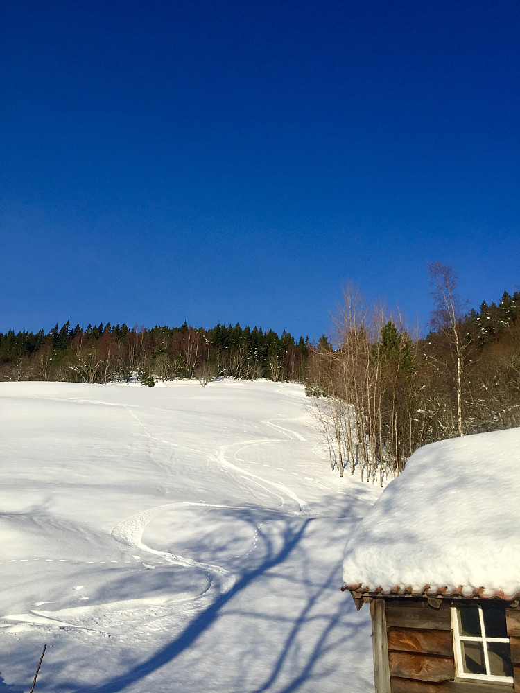 Fine forhold helt hjem. Gårsdagens spor