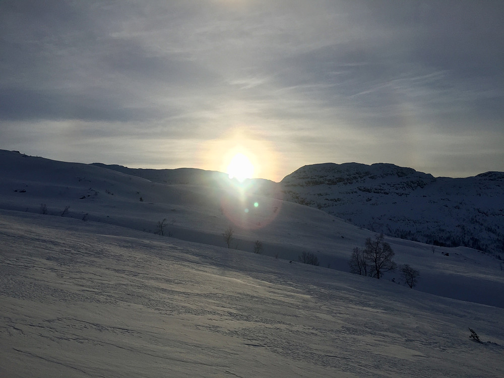 Fine forhold helt hjem