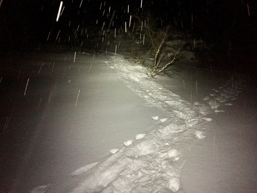 Flott snø