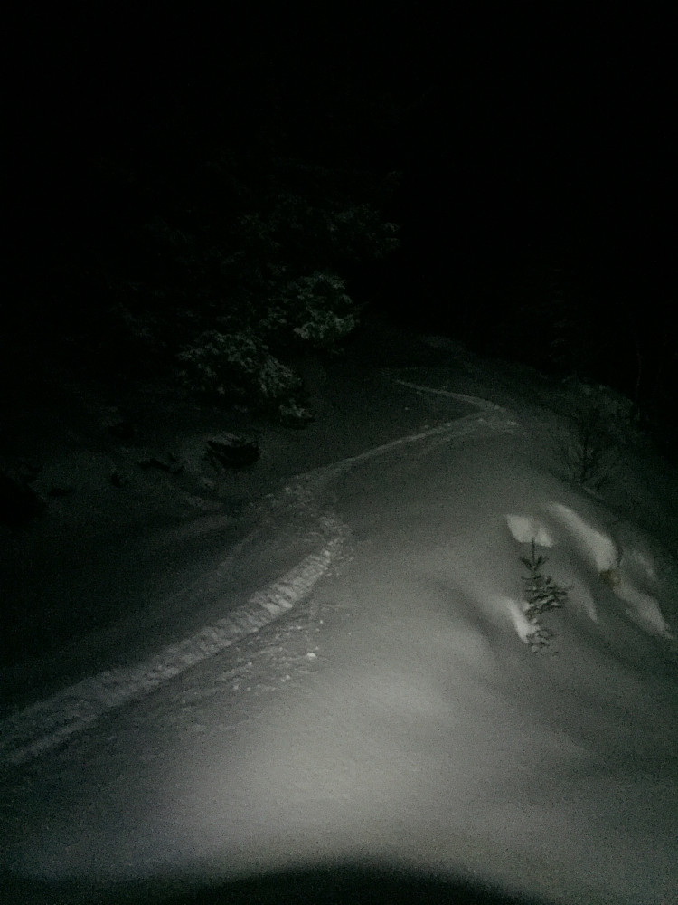 Herlig med 20-30 cm lett puddersnø oppå litt hardere underlag!
