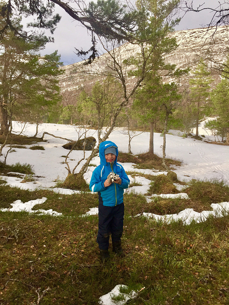 Vinjar på Ljøskarhaugen