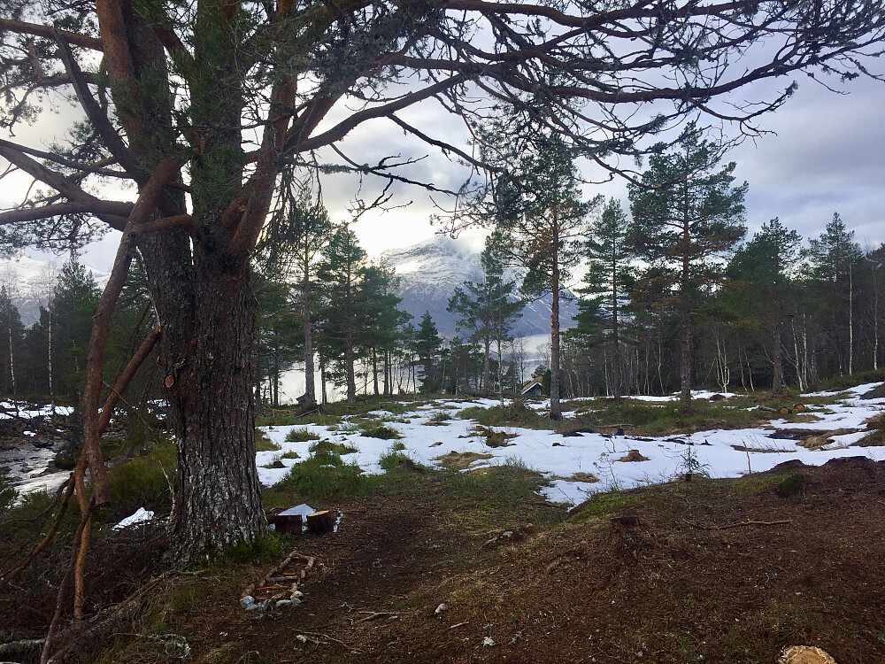 Omtrent bart på Lotsbergstøylen 