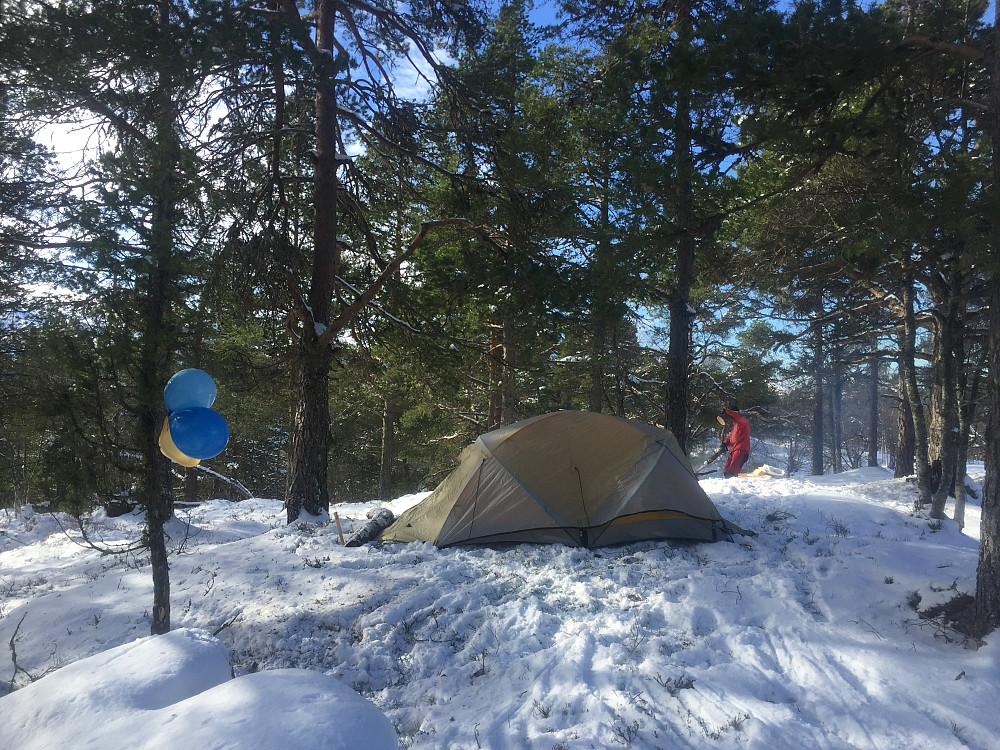 Orging av bålplassen på Ljøskarhaugen