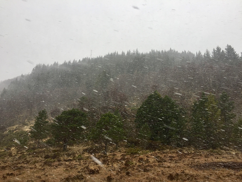 En skikkelig rufsete snøbyge fra starten mot Gyrinakken