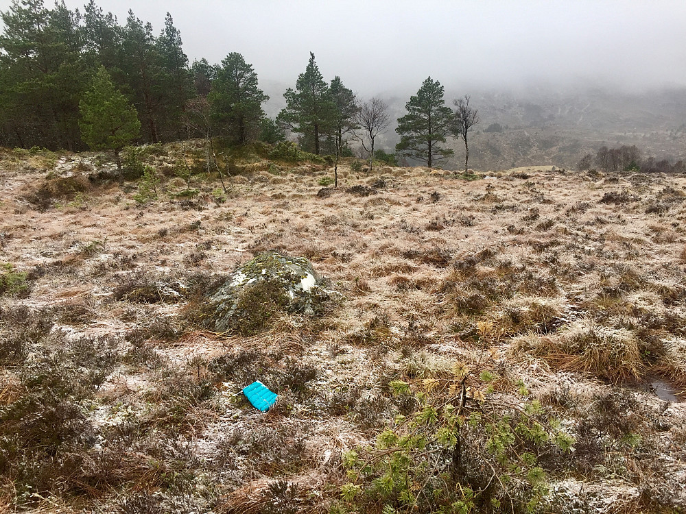 Hadde mistet dunposetrekket til mobilen på vei opp, kjekt å finne den igjen!