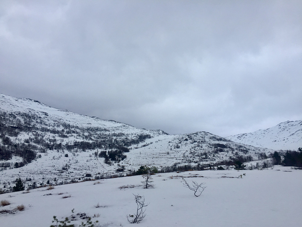Sørgelig lite snø i området Lotsstøylen