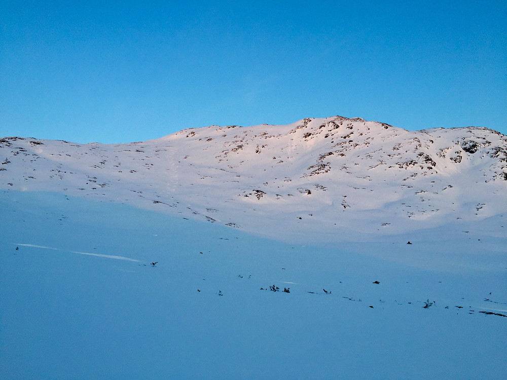 Fant en grei linje nedover Kvitelvebakkane, men omtrent ikke underlag. Snøen forsvinner nok fort her etter noen solrike dager.... Gjennomslagsføre og isete i kombinasjon, ingen høydare, men omgivelsene veide opp for det i kveld!