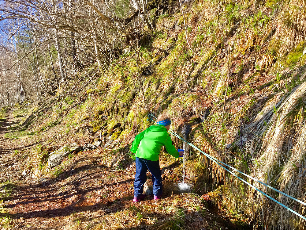 Fyller vatn i koppen ved Mosebekkjen