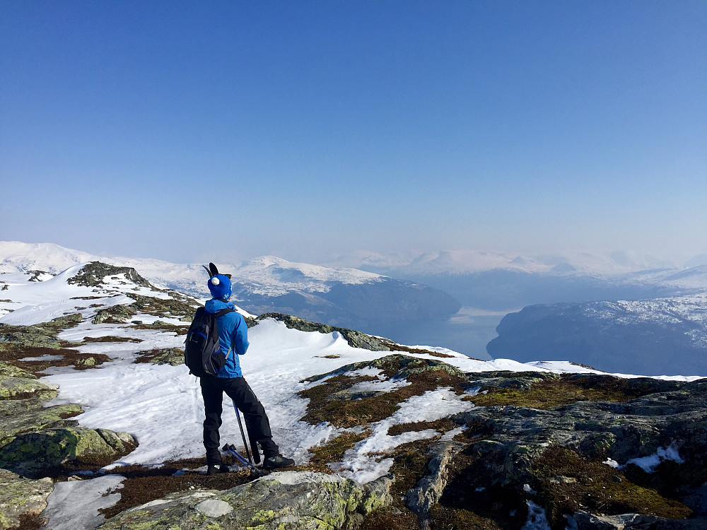 Reidun skuer innover Nordfjorden