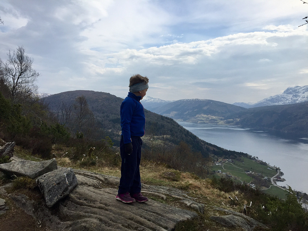 Vinjar skuer innover Nordfjorden, Naustdalskamben bakom
